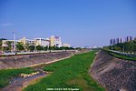 城市环保 绿色河流