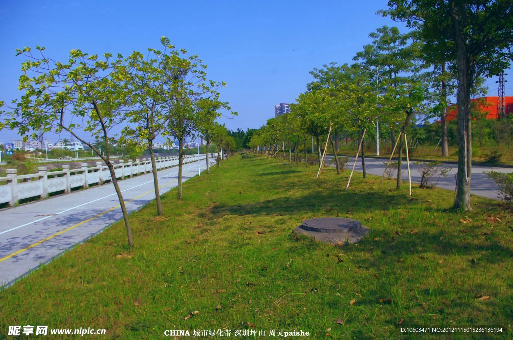 城市环保 道路绿化