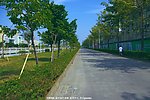 生态城市 绿色道路
