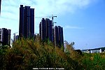 生态城市 楼房