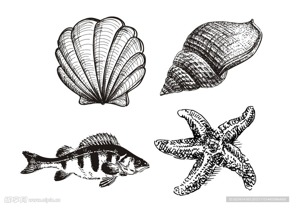 海洋生物