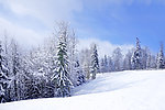 雪景