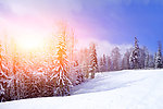 雪景