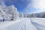 雪景