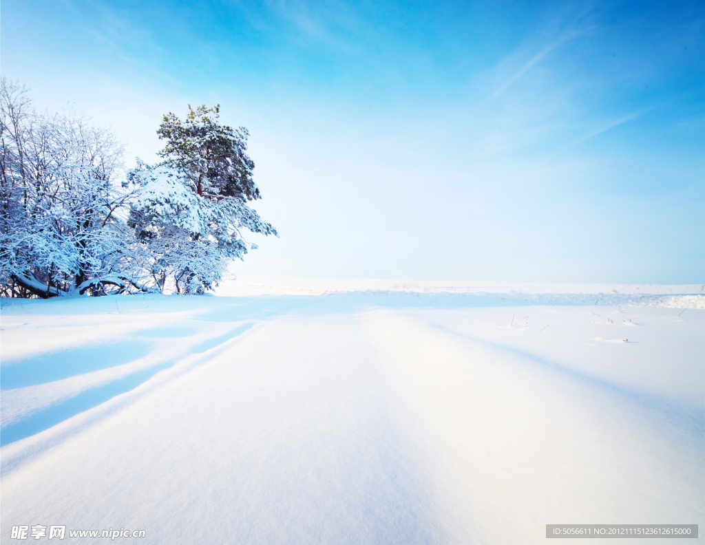 雪景
