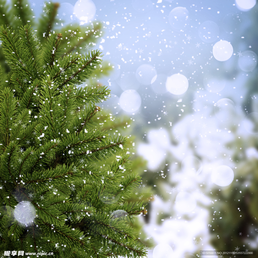 雪景