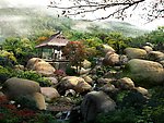 深山自然森林公园