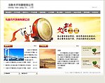 企业网站