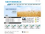 企业网站