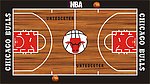 NBA公牛队主场
