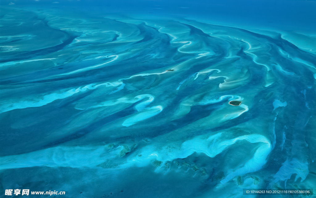 海洋