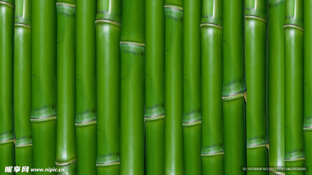 竹子