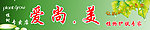 爱尚美 化妆品