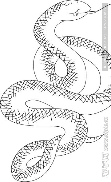 线刻蛇