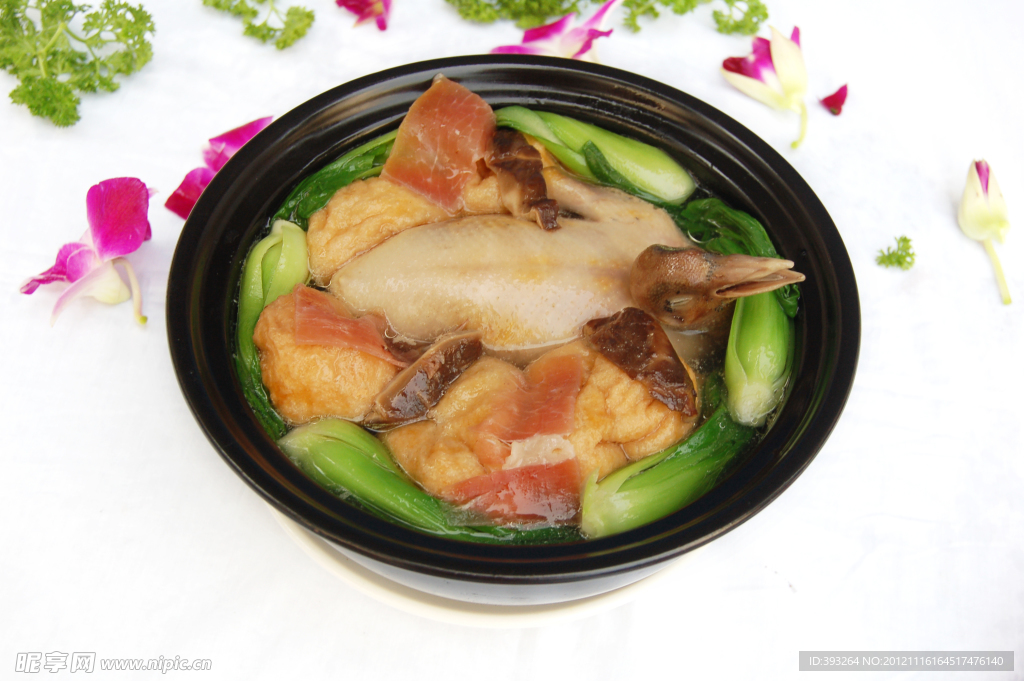 炖鸽子