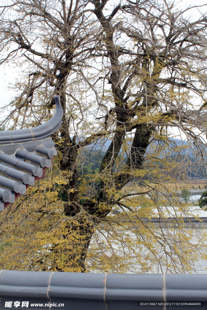 禅寺风景