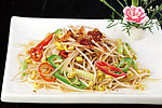 xo酱爆黄豆芽