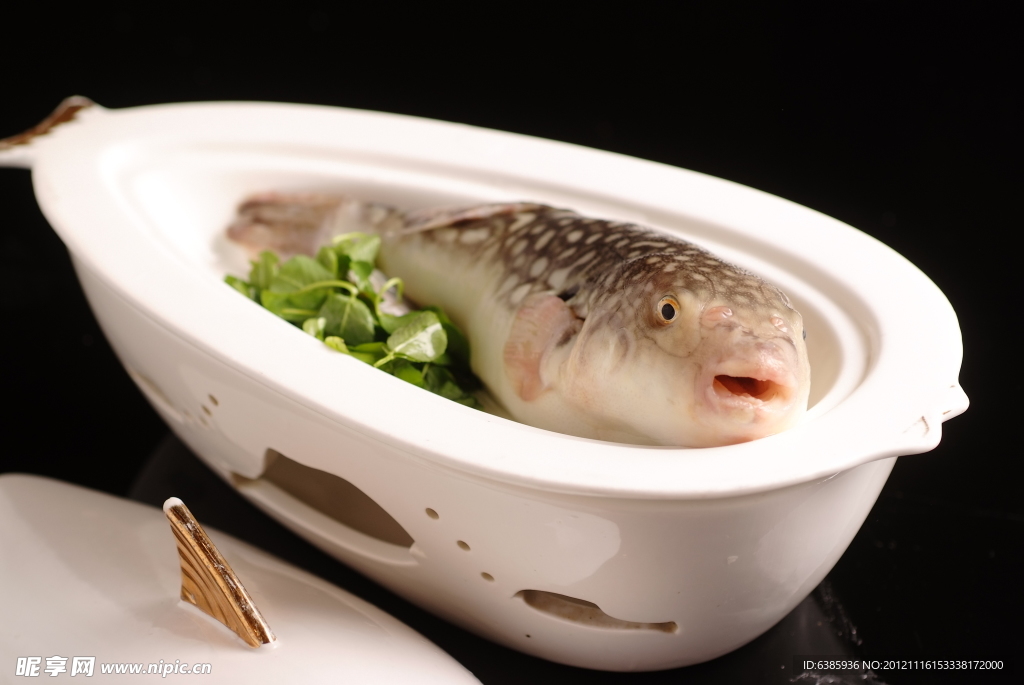 极品河鱼