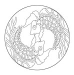 交通银行信用卡太极鱼