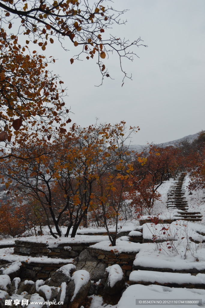 泗沟的薄雪