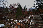 泗沟的薄雪