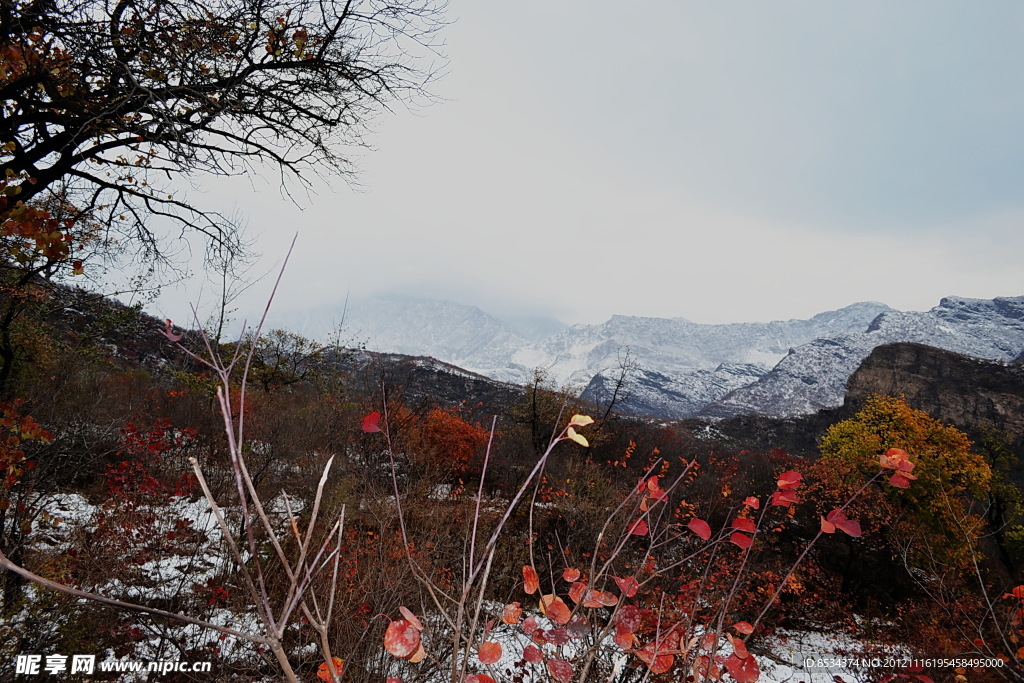 泗沟的薄雪