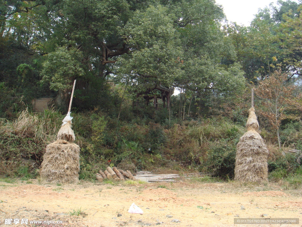 婺源
