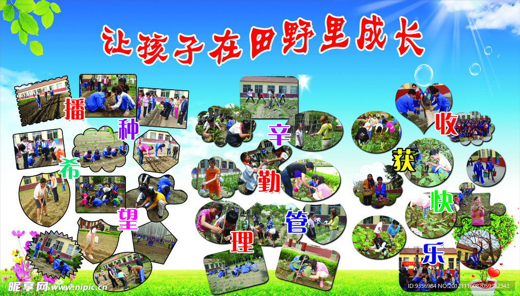 学校展板