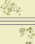 花纹 花藤