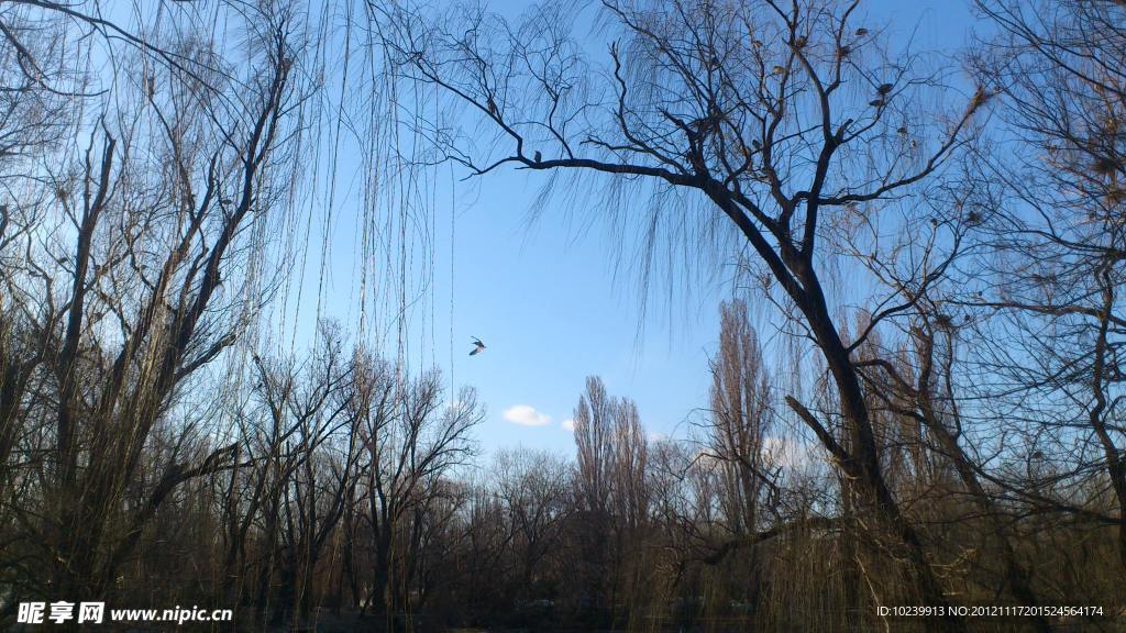 春天