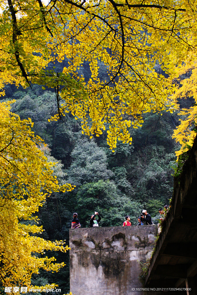 白岩寺
