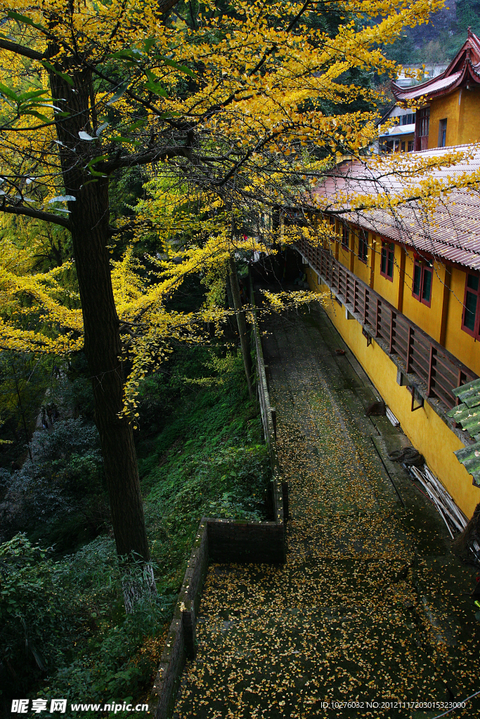 白岩寺