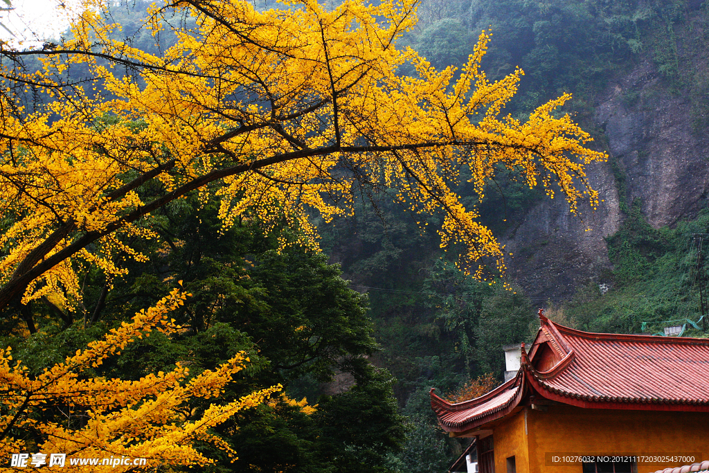 白岩寺