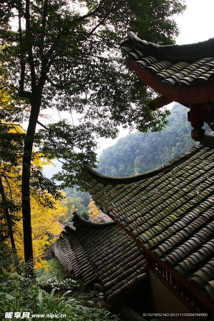 白岩寺