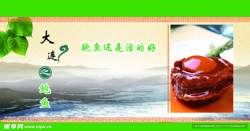 鲍鱼