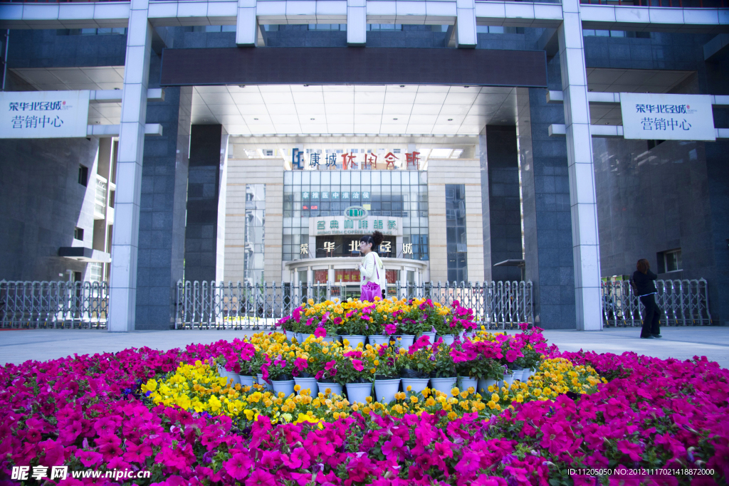 花坛