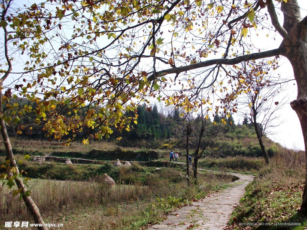 香炉山