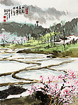 一片春光晴带雨