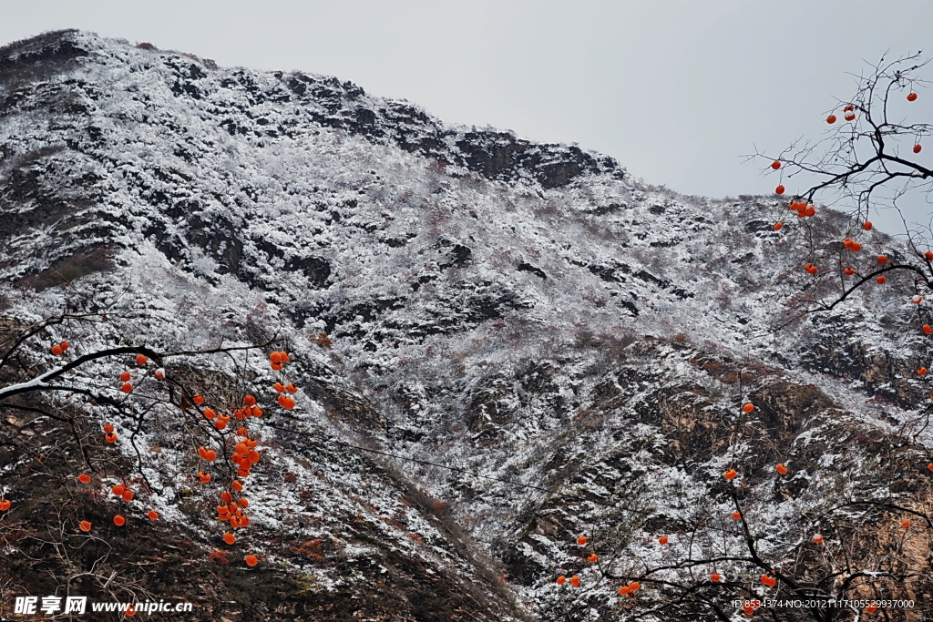 泗沟的薄雪