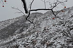 泗沟的薄雪