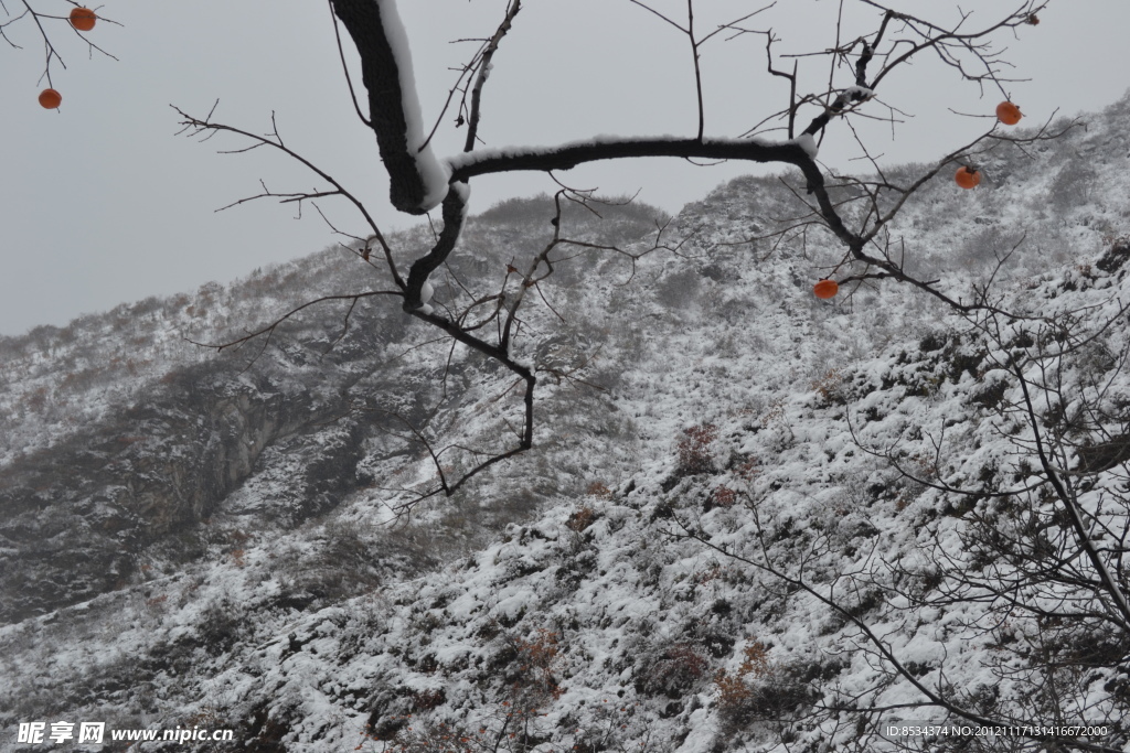 泗沟的薄雪