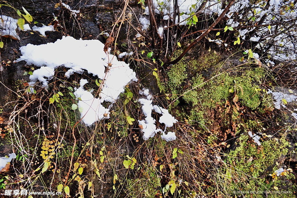 泗沟的薄雪