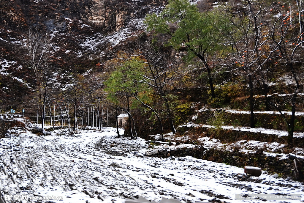 泗沟的薄雪