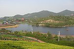 青山绿水红花风景图片