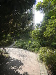 小区绿化
