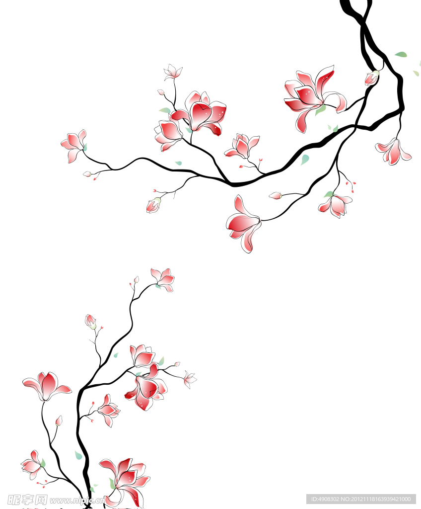 石榴花