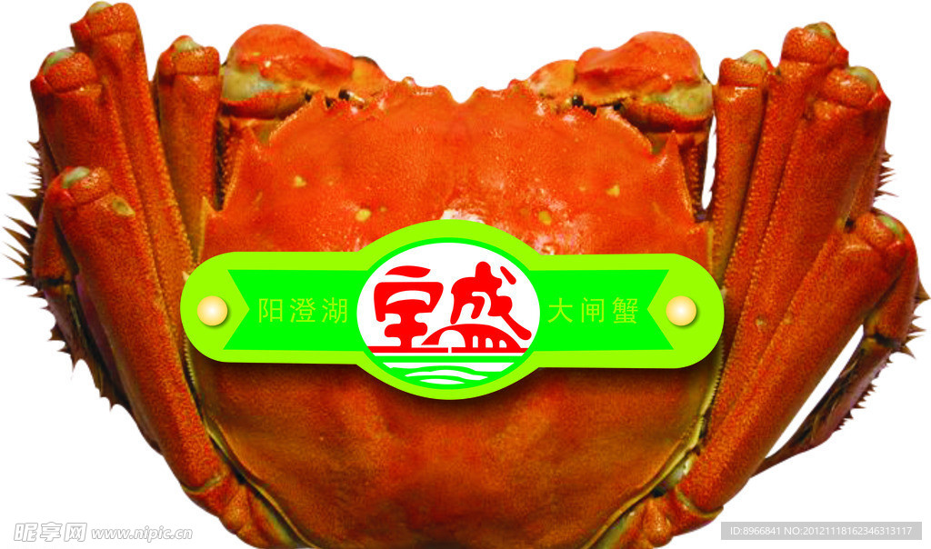 阳澄湖大闸蟹