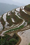 梯田