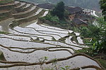 梯田