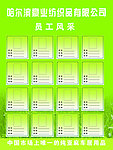 员工风采